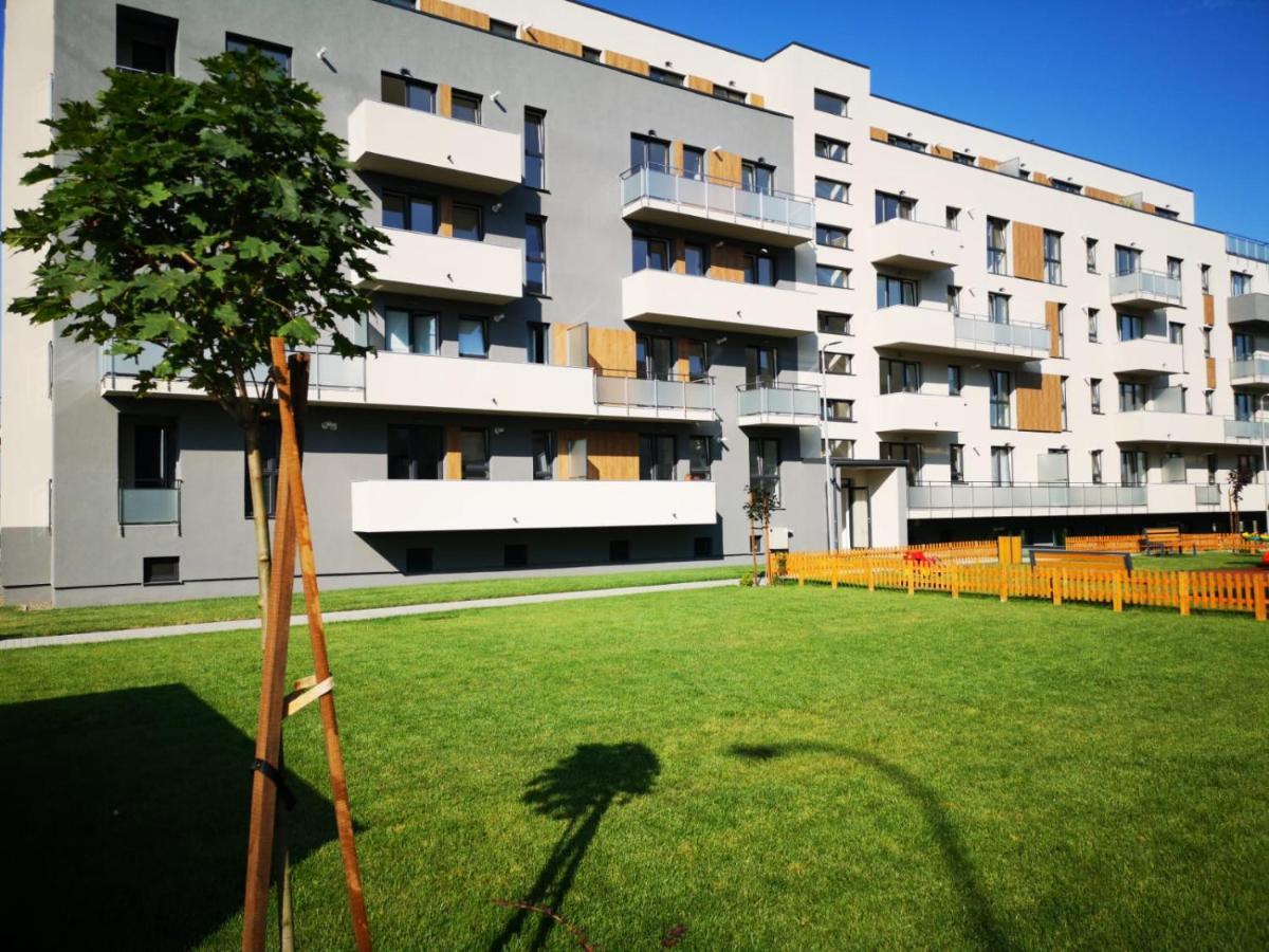 Ludi House Apartment Targu Mures Ngoại thất bức ảnh